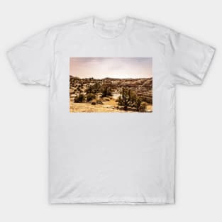 Utah Route State 12 Scenic Drive T-Shirt